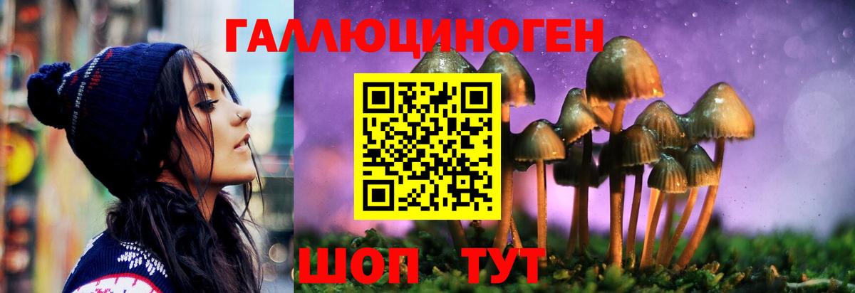 Краснокамск  Галлюциногенные грибы ЛСД  Вход с VPN 